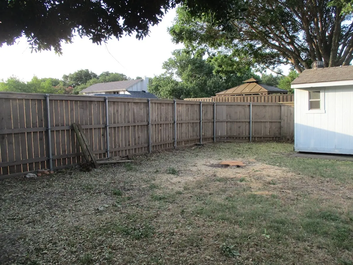 Cleared yard after professional tree removal in Wilmerding